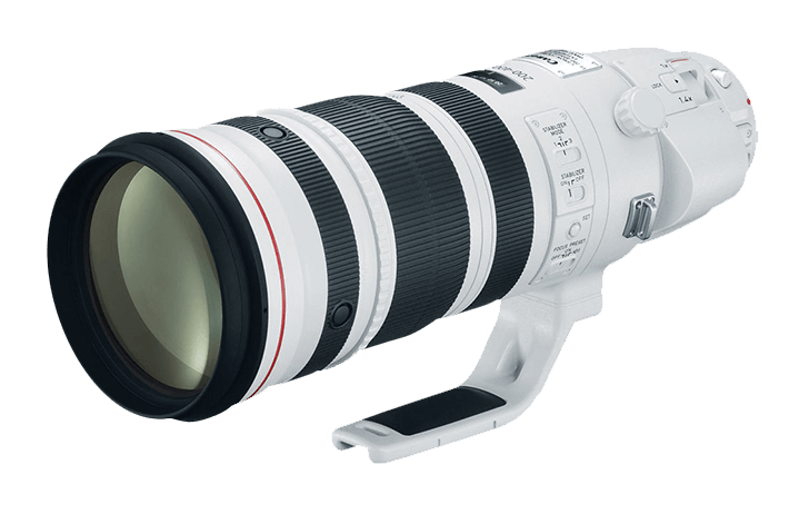 www.canonrumors.com